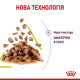 Вологий корм для котів Royal Canin Sensory Smell Gravy pouch 85 г (1 упак 12 шт) Royal Canin – купити зі знижкою %