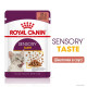 Вологий корм для котів Royal Canin Sensory Taste Gravy pouch 85 г (1 упак 12 шт) Royal Canin – купити зі знижкою %