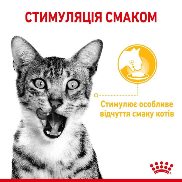 Вологий корм для котів Royal Canin Sensory Taste Gravy pouch 85 г (1 упак 12 шт) Royal Canin – купити зі знижкою %