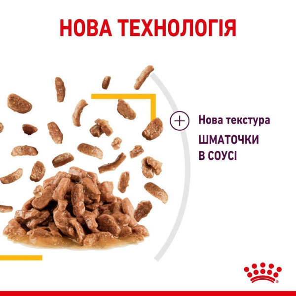 Вологий корм для котів Royal Canin Sensory Taste Gravy pouch 85 г (1 упак 12 шт) Royal Canin – купити зі знижкою %