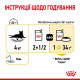 Вологий корм для котів Royal Canin Sensory Taste Gravy pouch 85 г (1 упак 12 шт) Royal Canin – купити зі знижкою %