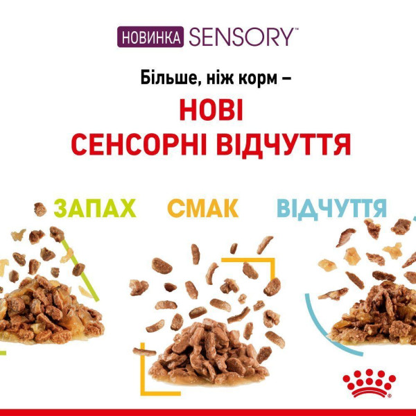 Вологий корм для котів Royal Canin Sensory Feel Gravy pouch 85 г (1 упак 12 шт) Royal Canin – купити зі знижкою %