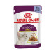 Вологий корм для котів Royal Canin Sensory Smell Jelly pouch 85 г (1 упак 12 шт) Royal Canin – купити зі знижкою %