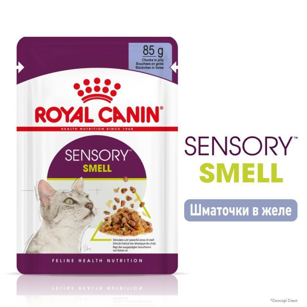 Вологий корм для котів Royal Canin Sensory Smell Jelly pouch 85 г (1 упак 12 шт) Royal Canin – купити зі знижкою %