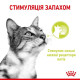 Вологий корм для котів Royal Canin Sensory Smell Jelly pouch 85 г (1 упак 12 шт) Royal Canin – купити зі знижкою %