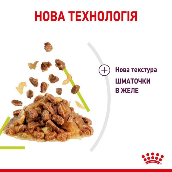Вологий корм для котів Royal Canin Sensory Smell Jelly pouch 85 г (1 упак 12 шт) Royal Canin – купити зі знижкою %