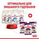 Вологий корм для котів Royal Canin Sensory Smell Jelly pouch 85 г (1 упак 12 шт) Royal Canin – купити зі знижкою %
