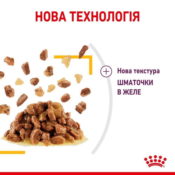 Вологий корм для котів Royal Canin Sensory Taste Jelly pouch 85 г (1 упак 12 шт) Royal Canin – купити зі знижкою %