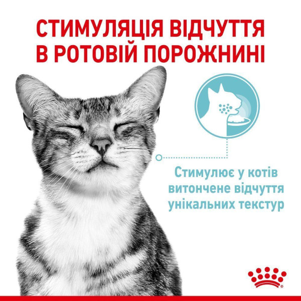 Вологий корм для котів Royal Canin Sensory Feel Jelly pouch 85 г (1 упак 12 шт) Royal Canin – купити зі знижкою %