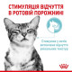 Вологий корм для котів Royal Canin Sensory Feel Jelly pouch 85 г (1 упак 12 шт) Royal Canin – купити зі знижкою %