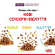 Вологий корм для котів Royal Canin Sensory Feel Jelly pouch 85 г (1 упак 12 шт) Royal Canin – купити зі знижкою %