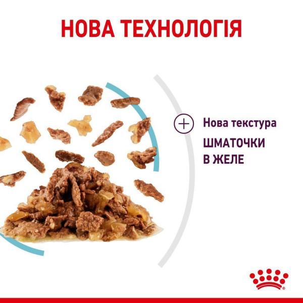 Вологий корм для котів Royal Canin Sensory Feel Jelly pouch 85 г (1 упак 12 шт) Royal Canin – купити зі знижкою %