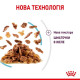 Вологий корм для котів Royal Canin Sensory Feel Jelly pouch 85 г (1 упак 12 шт) Royal Canin – купити зі знижкою %
