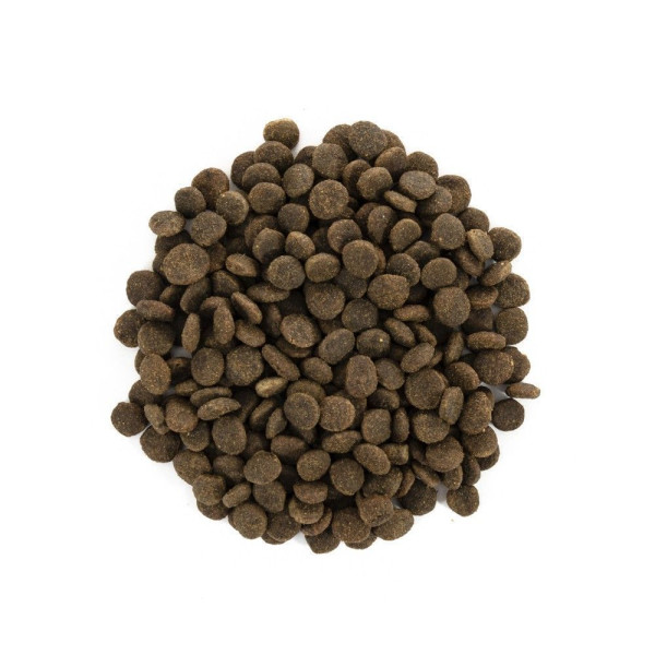 Сухий корм для котів Brit Care Cat Grain Free Sterilized Sensitive 7 кг - кролик Brit Care – купити зі знижкою %