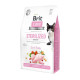 Сухий корм для котів Brit Care Cat Grain Free Sterilized Sensitive 2 кг - кролик Brit Care – купити зі знижкою %