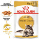 Вологий корм для котів породи мейн-кун Royal Canin Maine Coon Adult Gravy pouch 85 г (1 упак 12 шт) Royal Canin – купити зі знижкою %