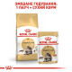 Вологий корм для котів породи мейн-кун Royal Canin Maine Coon Adult Gravy pouch 85 г (1 упак 12 шт) Royal Canin – купити зі знижкою %