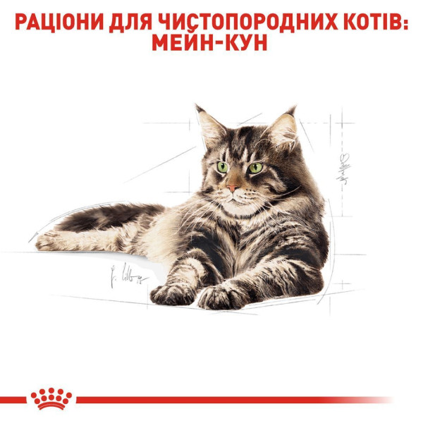 Вологий корм для котів породи мейн-кун Royal Canin Maine Coon Adult Gravy pouch 85 г (1 упак 12 шт) Royal Canin – купити зі знижкою %