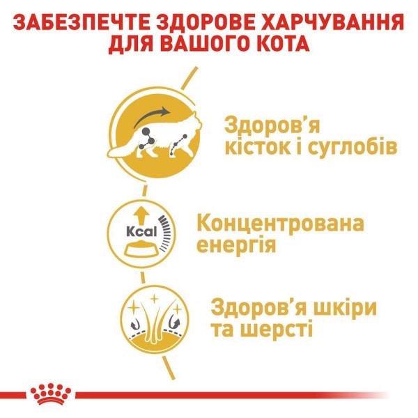 Вологий корм для котів породи мейн-кун Royal Canin Maine Coon Adult Gravy pouch 85 г (1 упак 12 шт) Royal Canin – купити зі знижкою %