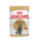 Вологий корм для котів породи британська короткошерста Royal Canin British Shorthair Adult Gravy pouch 85 г (1 упак 12 шт) Royal Canin – купити зі знижкою %