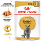 Вологий корм для котів породи британська короткошерста Royal Canin British Shorthair Adult Gravy pouch 85 г (1 упак 12 шт) Royal Canin – купити зі знижкою %