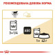 Вологий корм для котів породи британська короткошерста Royal Canin British Shorthair Adult Gravy pouch 85 г (1 упак 12 шт) Royal Canin – купити зі знижкою %