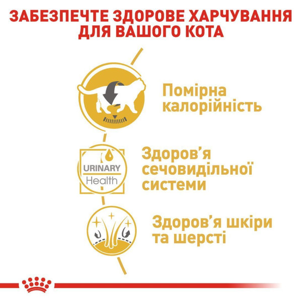 Вологий корм для котів породи британська короткошерста Royal Canin British Shorthair Adult Gravy pouch 85 г (1 упак 12 шт) Royal Canin – купити зі знижкою %