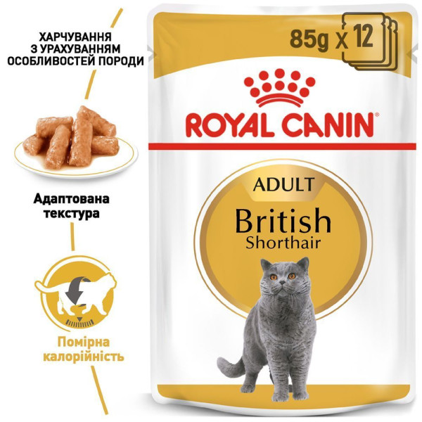 Вологий корм для котів породи британська короткошерста Royal Canin British Shorthair Adult Gravy pouch 85 г (1 упак 12 шт) Royal Canin – купити зі знижкою %