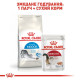 Сухий корм для котів Royal Canin Indoor 2 кг Royal Canin – купити зі знижкою %