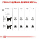 Сухий корм для котів Royal Canin Oral Care 8 кг Royal Canin – купити зі знижкою %