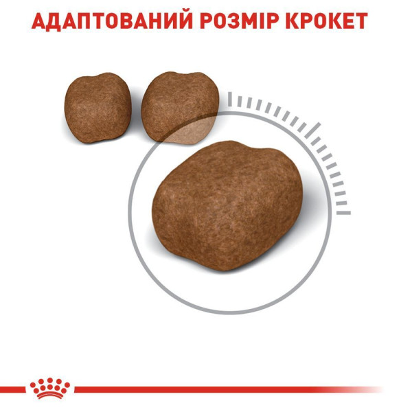Сухий корм для котів Royal Canin Oral Care 8 кг Royal Canin – купити зі знижкою %