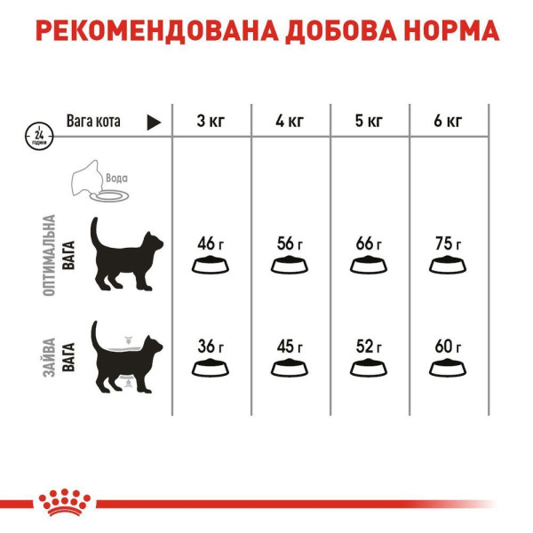 Сухий корм для котів Royal Canin Oral Care 8 кг Royal Canin – купити зі знижкою %