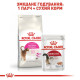 Сухий корм для котів Royal Canin Exigent Aromatic 2 кг Royal Canin – купити зі знижкою %