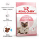 Сухий корм для кошенят Royal Canin Mother & Babycat 2 кг Royal Canin – купити зі знижкою %