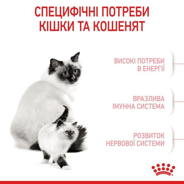 Сухий корм для кошенят Royal Canin Mother & Babycat 2 кг Royal Canin – купити зі знижкою %