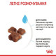 Сухий корм для кошенят Royal Canin Mother & Babycat 2 кг Royal Canin – купити зі знижкою %