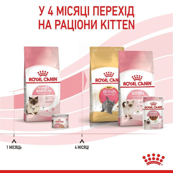 Сухий корм для кошенят Royal Canin Mother & Babycat 2 кг Royal Canin – купити зі знижкою %