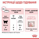 Сухий корм для кошенят Royal Canin Mother & Babycat 2 кг Royal Canin – купити зі знижкою %