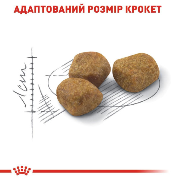 Сухий корм для котів Royal Canin Indoor 7+, 3,5 кг Royal Canin – купити зі знижкою %