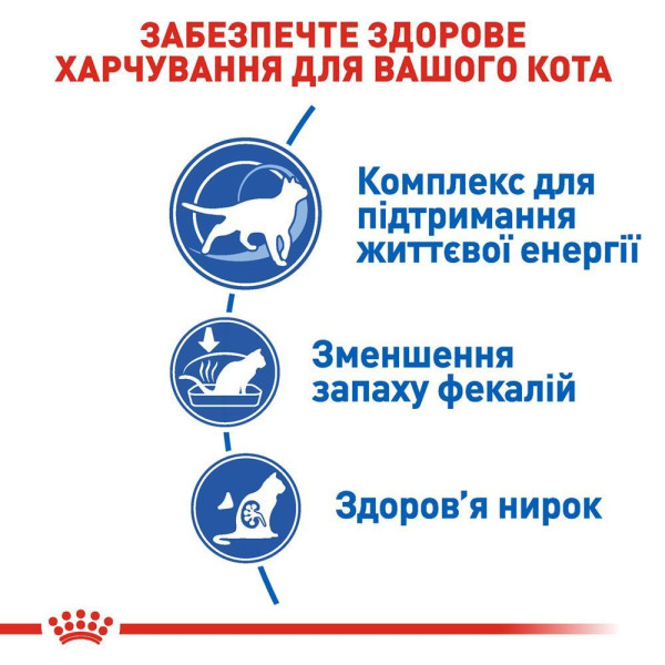 Сухий корм для котів Royal Canin Indoor 7+, 3,5 кг Royal Canin – купити зі знижкою %