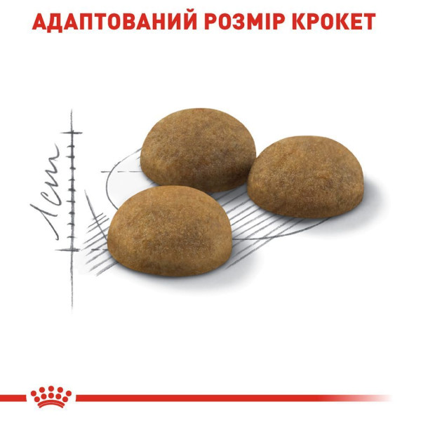 Сухий корм для котів Royal Canin Indoor Long Hair 400 г Royal Canin – купити зі знижкою %