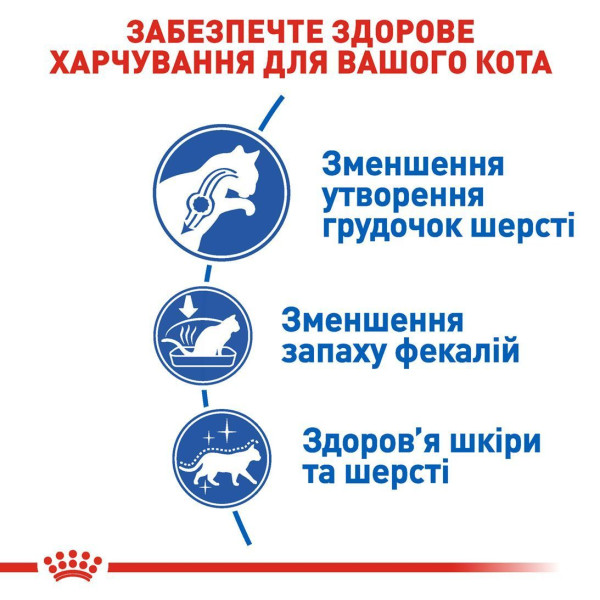 Сухий корм для котів Royal Canin Indoor Long Hair 400 г Royal Canin – купити зі знижкою %