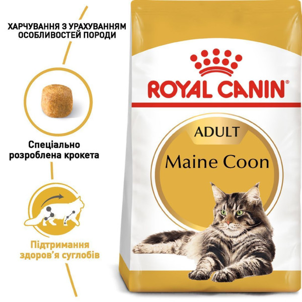Royal Canin Maine Coon Adult cухий корм для котів 10 кг Royal Canin – купити зі знижкою %