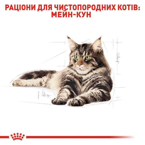 Royal Canin Maine Coon Adult cухий корм для котів 10 кг Royal Canin – купити зі знижкою %