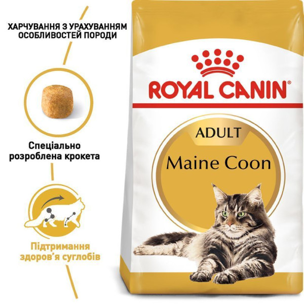 Royal Canin Maine Coon Adult cухий корм для котів 10 кг Royal Canin – купити зі знижкою %