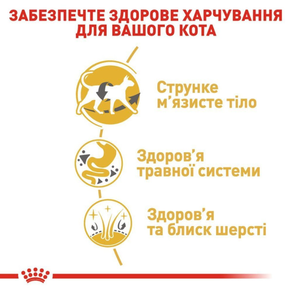 Сухий корм для котів породи сіамська Royal Canin Siamese Adult 400 г Royal Canin – купити зі знижкою %