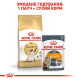Сухий корм для котів породи сіамська Royal Canin Siamese Adult 400 г Royal Canin – купити зі знижкою %