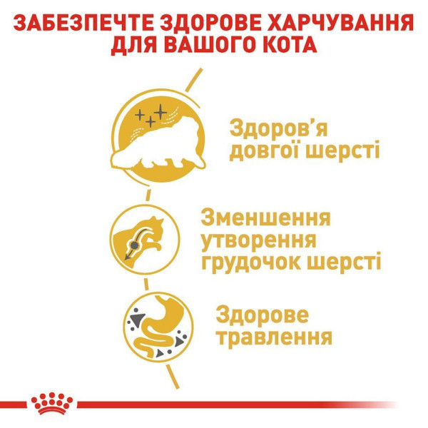 Сухий корм для котів перської породи Royal Canin Persian Adult 4 кг Royal Canin – купити зі знижкою %