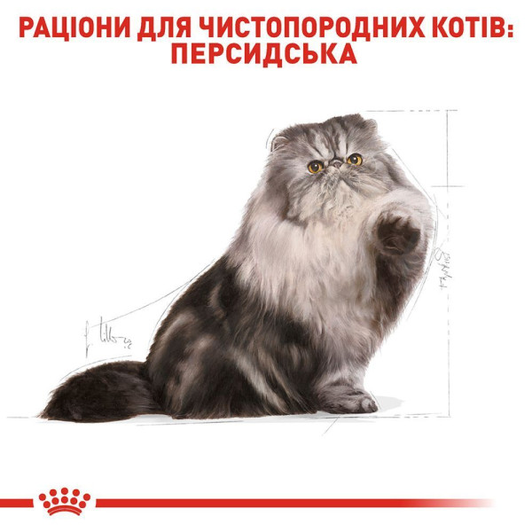 Сухий корм для котів перської породи Royal Canin Persian Adult 4 кг Royal Canin – купити зі знижкою %