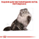 Сухий корм для котів перської породи Royal Canin Persian Adult 4 кг Royal Canin – купити зі знижкою %